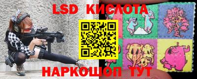 apvp Канаш