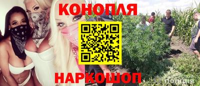 эйфоретик Камышлов