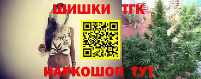 apvp Канаш